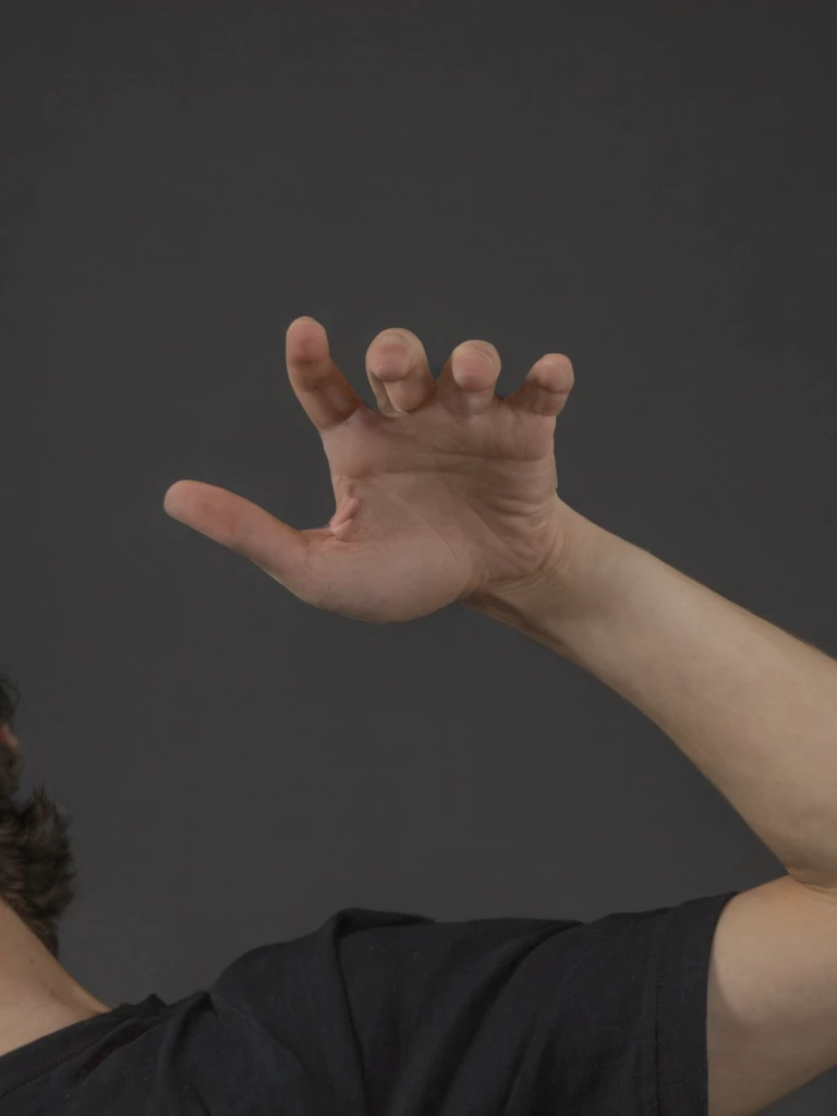 <lora:é²å䏿´¾@æå¿å¤§å
¨SDXL:1>,Gestures, fists, highest quality, perfect hands.