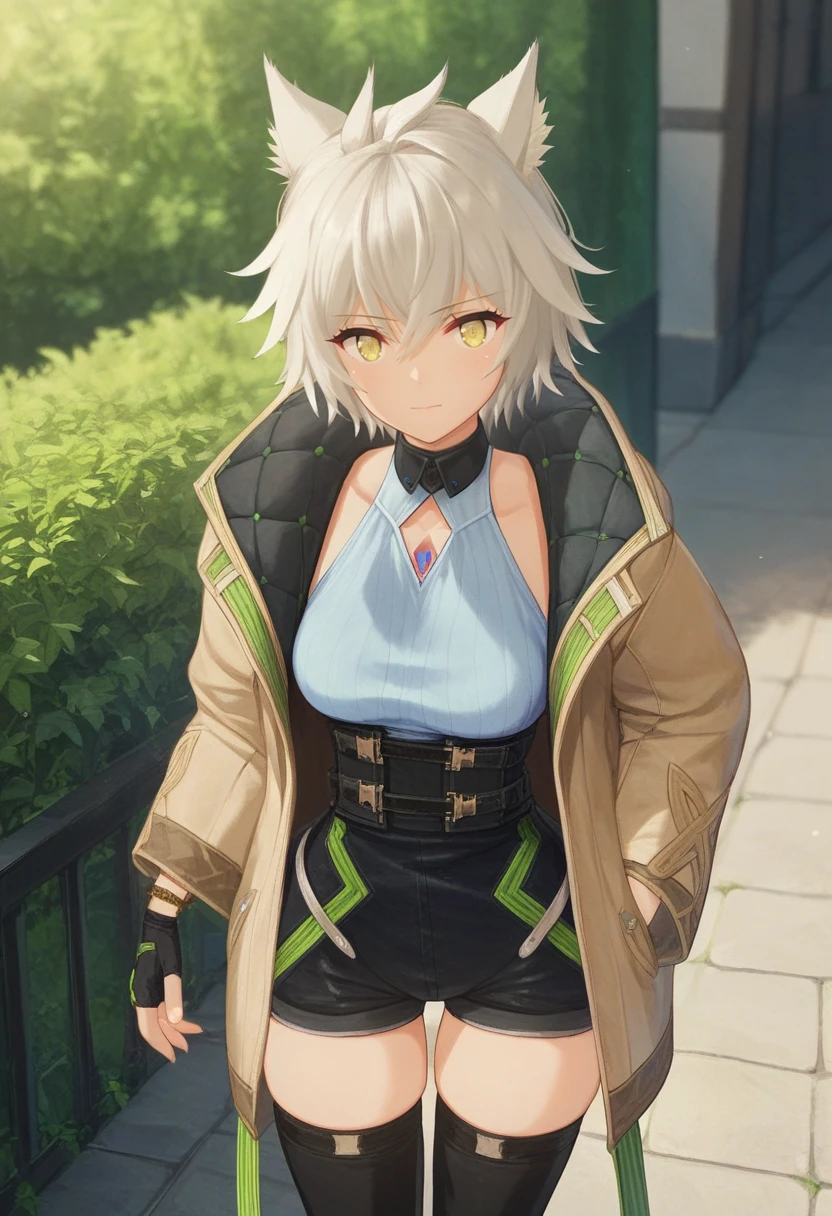 score_9, score_8_up, score_7_up, 1girl, solo, casual, tan coat, ribbed shirt, corset, high-waist shorts, black thighhighs, chest jewel, pale yellow eyes, fingerless gloves, messy hair, na'el, outdoors <lora:nael xl 033 fro 95:1>