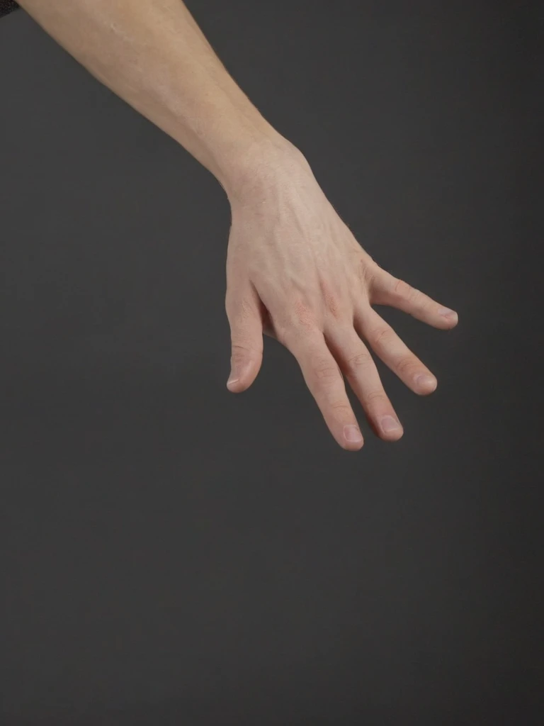 <lora:é²å䏿´¾@æå¿å¤§å
¨SDXL:0.8>,XCYP, gestures, spread palms, perfect hands, highest quality.
