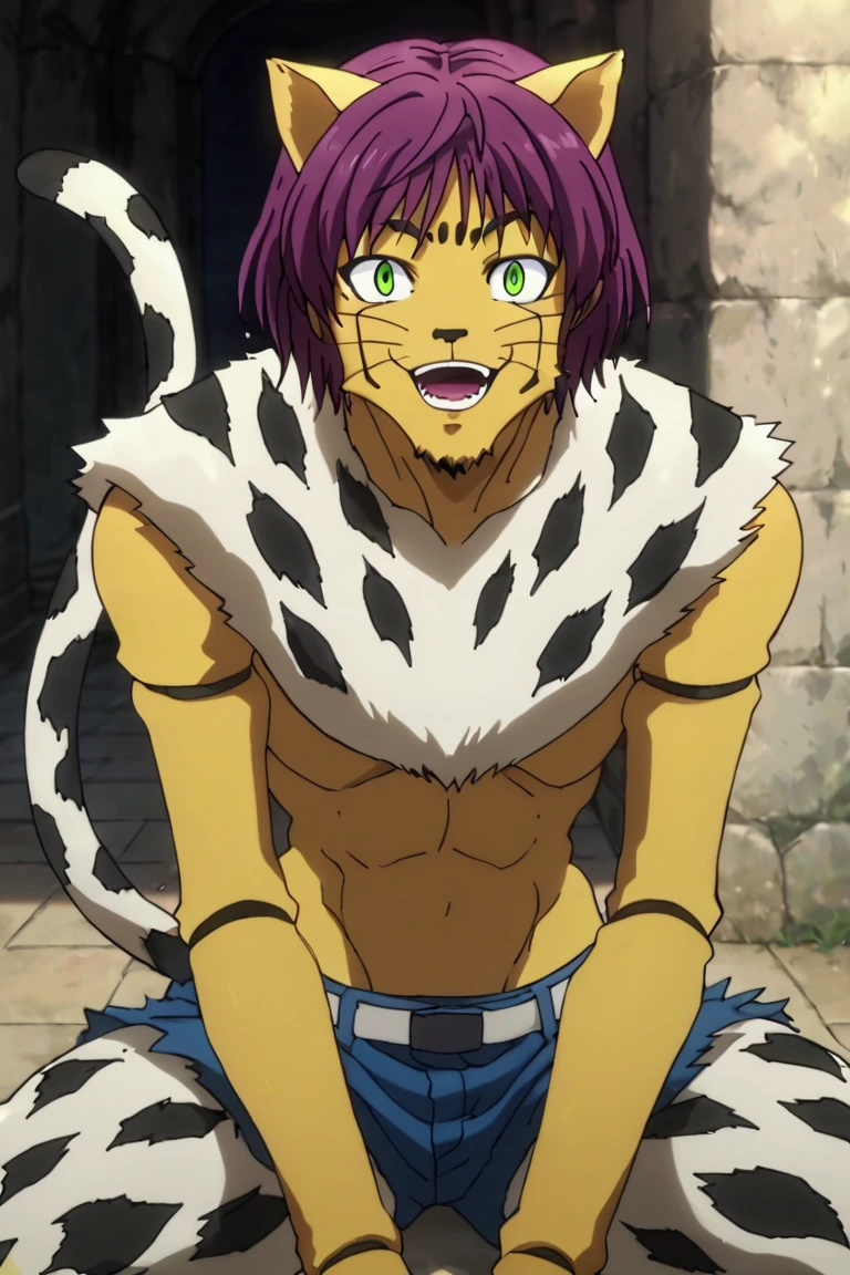 score_9,score_8_up,score_7_up,source_anime,looking at viewer, solo, 1boy, Cheetu,purple hair,green eyes,tail,furry, furry male, animal ears,smile, open mouth, sitting<lora:EMS-391894-EMS:1.000000>