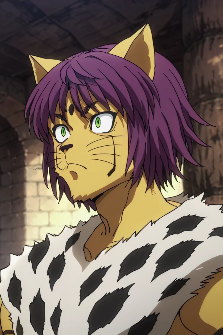 score_9,score_8_up,score_7_up,source_anime,solo, 1boy, Cheetu,purple hair,green eyes,tail, animal ears, furry, furry male, upper body<lora:EMS-391894-EMS:1.000000>