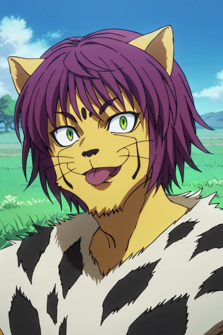 score_9,score_8_up,score_7_up,source_anime,solo, 1boy, Cheetu,purple hair,green eyes,tail, smile, outdoors, upper body, tongue<lora:EMS-391894-EMS:1.000000>