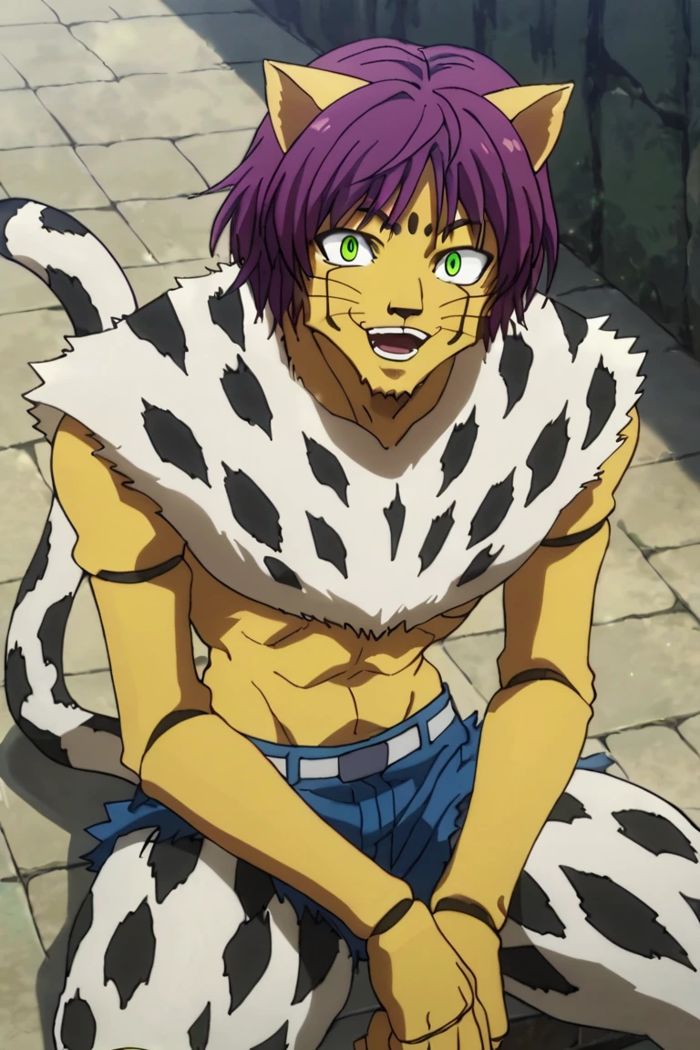 score_9,score_8_up,score_7_up,source_anime,looking at viewer, solo, 1boy, Cheetu,purple hair,green eyes,tail,furry, furry male, animal ears,smile, open mouth, sitting<lora:EMS-391894-EMS:1.000000>