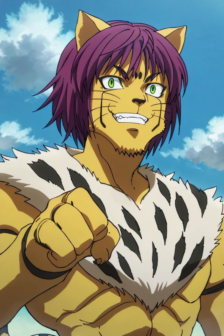 score_9,score_8_up,score_7_up,source_anime,looking at viewer, solo, 1boy, Cheetu,purple hair,green eyes,tail, furry, furry male, animal ears,fighting pose, grin, grassland, cloud, upper body, furry<lora:EMS-391894-EMS:1.000000>