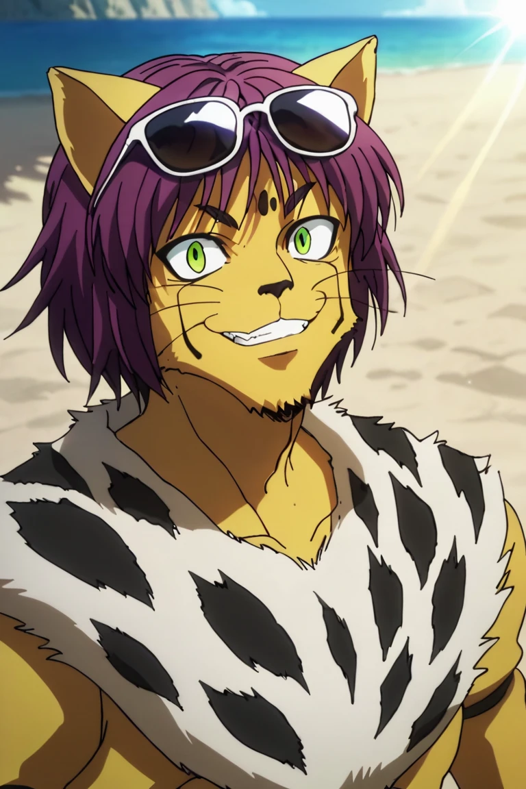 score_9,score_8_up,score_7_up,source_anime,solo, 1boy, Cheetu,purple hair,green eyes,tail, furry, furry male, animal ears,smile, sunglasses on head, grin, sitting, beach, sun, light_rays, close-up, upper body, looking at viewer<lora:EMS-391894-EMS:1.000000>