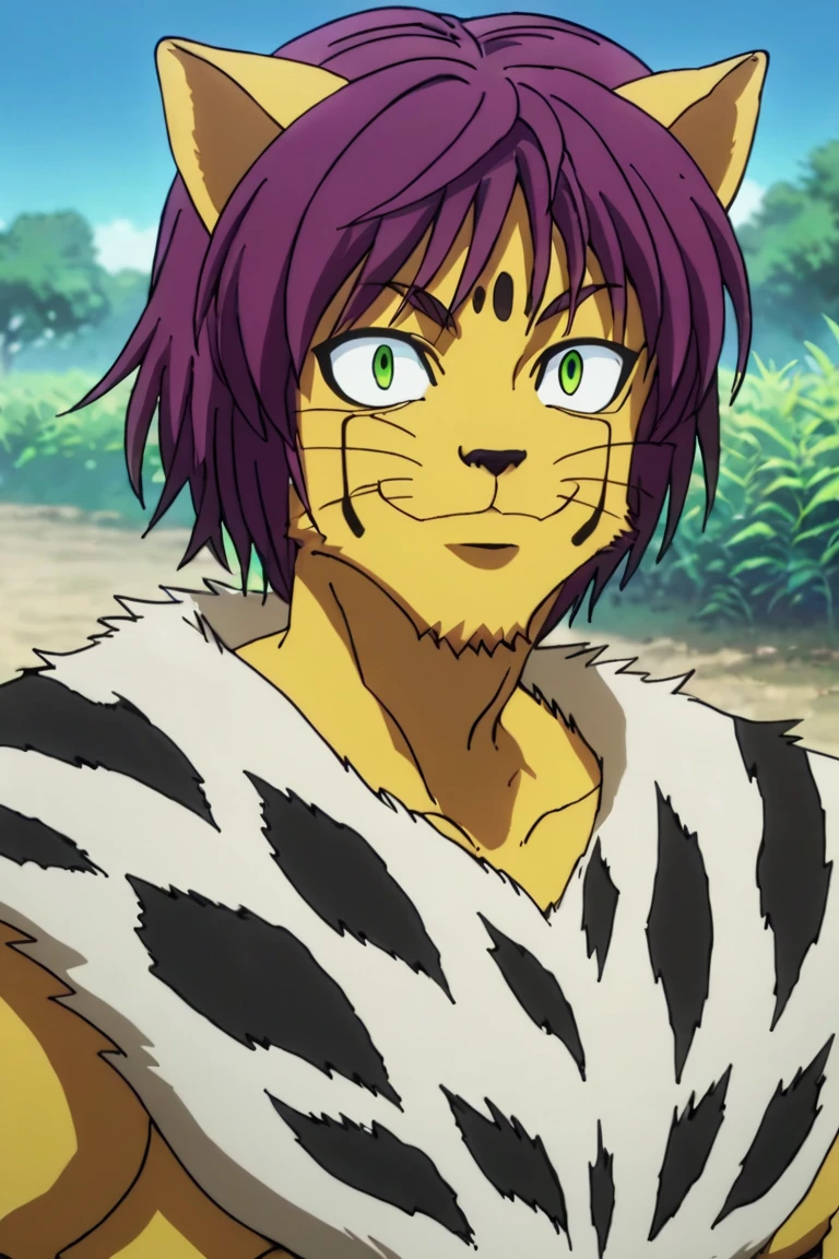 score_9,score_8_up,score_7_up,source_anime,solo, 1boy, Cheetu,purple hair,green eyes,tail, smile, outdoors, upper body, source_furry, furry male<lora:EMS-391894-EMS:1.000000>