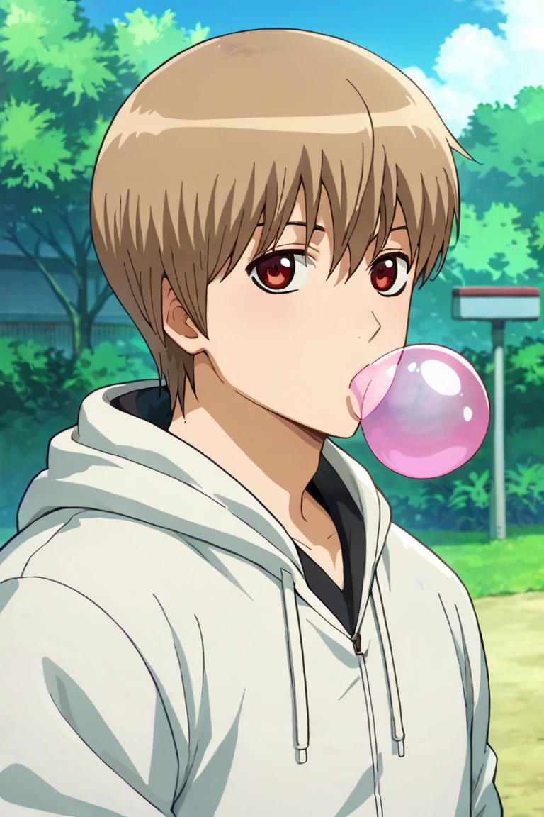 score_9,score_8_up,score_7_up,source_anime,looking at viewer, solo, 1boy, okita sougo,brown hair, red eyes, outdoors, upper body, hoodie, blowing bubbles<lora:EMS-393535-EMS:0.800000>