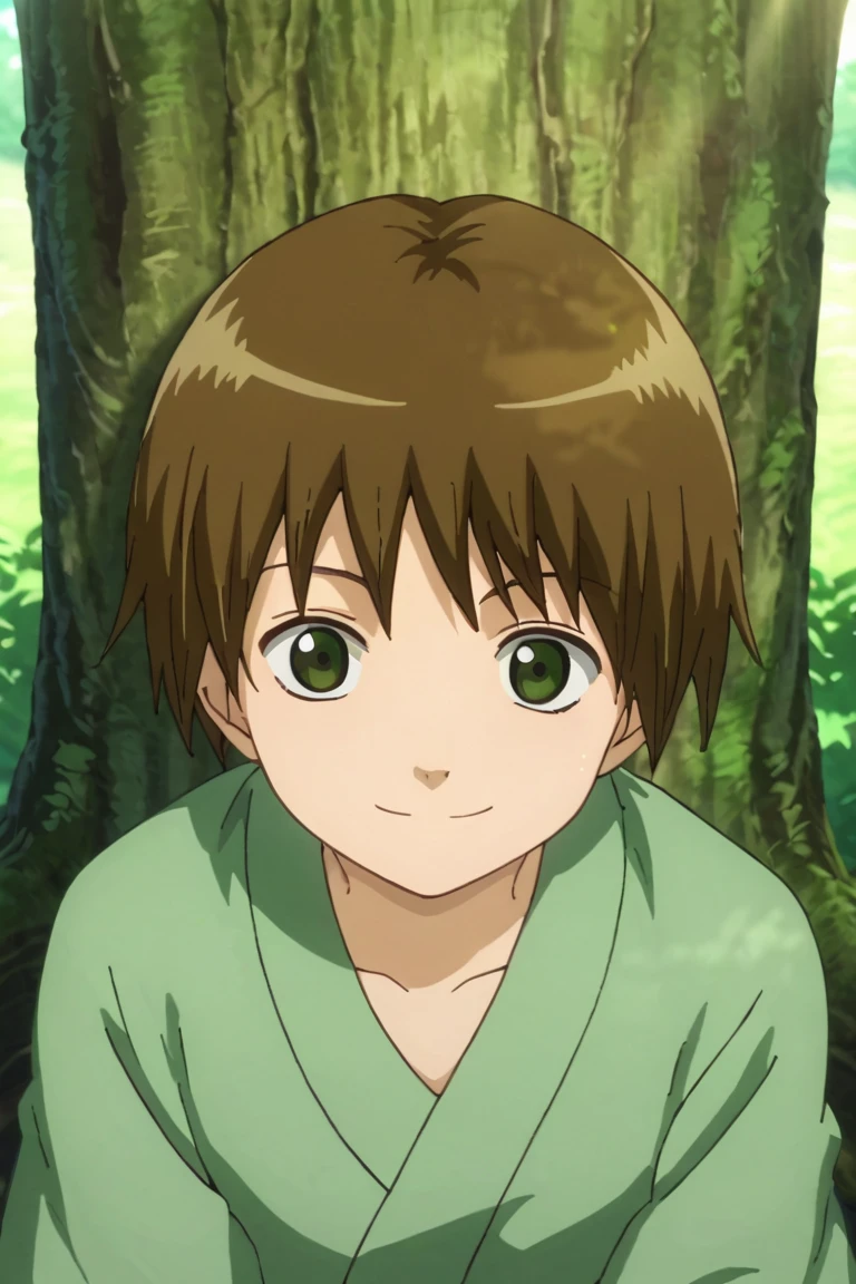 score_9,score_8_up,score_7_up,source_anime,looking at viewer, solo, 1boy, Seita,brown hair,green eyes, smile, outdoors, shadow,sitting under the tree, light rays<lora:EMS-393542-EMS:1.000000>