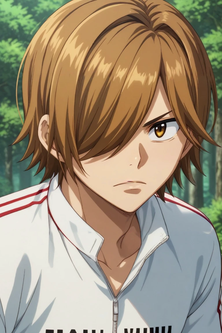 score_9, score_8_up, score_7_up, source_anime, rating_safe, intricate details, , looking at viewer, depth of field, 1boy, solo, male focus, <lora:hajime_aoyagi_pony:0.8>, hajime_aoyagi, brown hair, brown eyes, hair over one eye, close-up, forest, light, victory pose, angry, , <lora:sdxl_lightning_8step_lora:1>