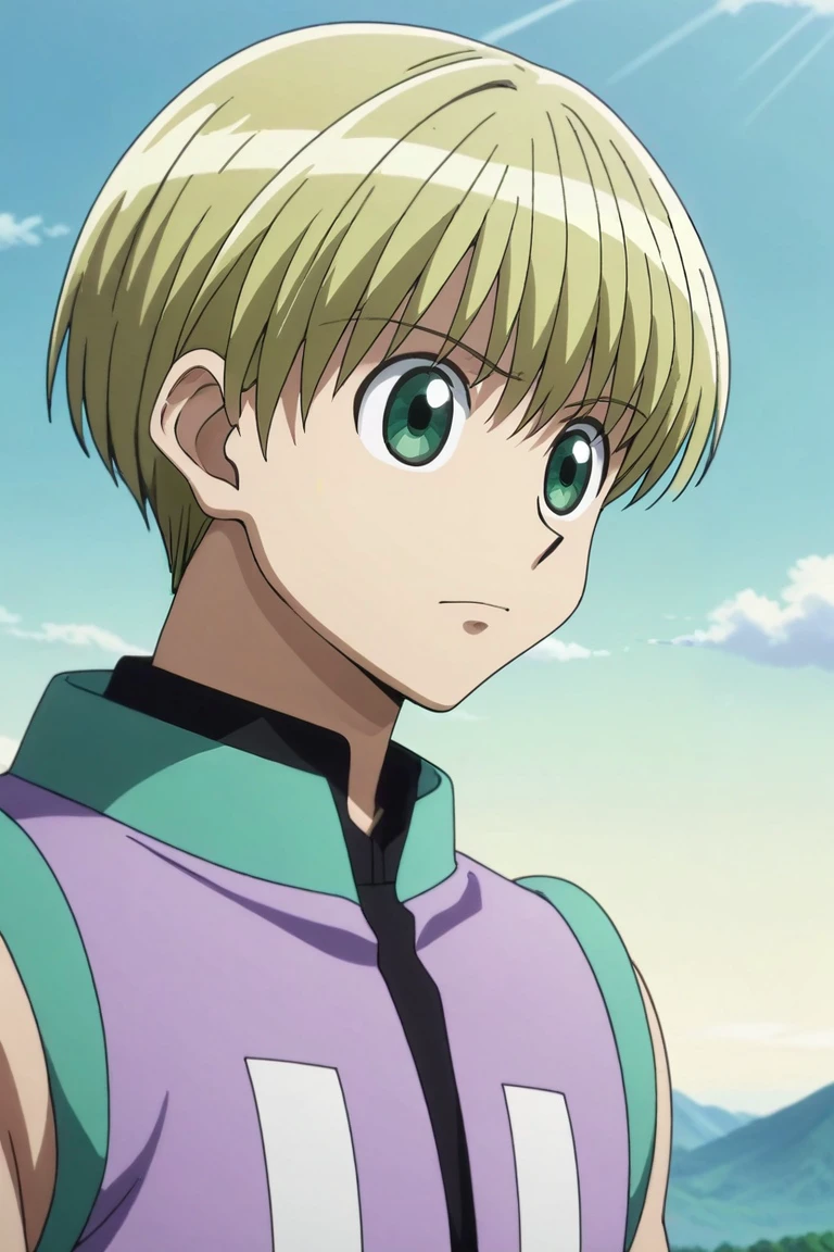 score_9, score_8_up, score_7_up, source_anime, rating_safe, , anime screencap, anime coloring, , , , 1boy, solo, male focus, <lora:shalnark_ryuseih_pony:0.82>, shalnark_ryuseih, blonde hair, green eyes, short hair, sleeveless, upper body, fuji mountain, day, clouds, villain pose, sad, , <lora:sdxl_lightning_8step_lora:1>