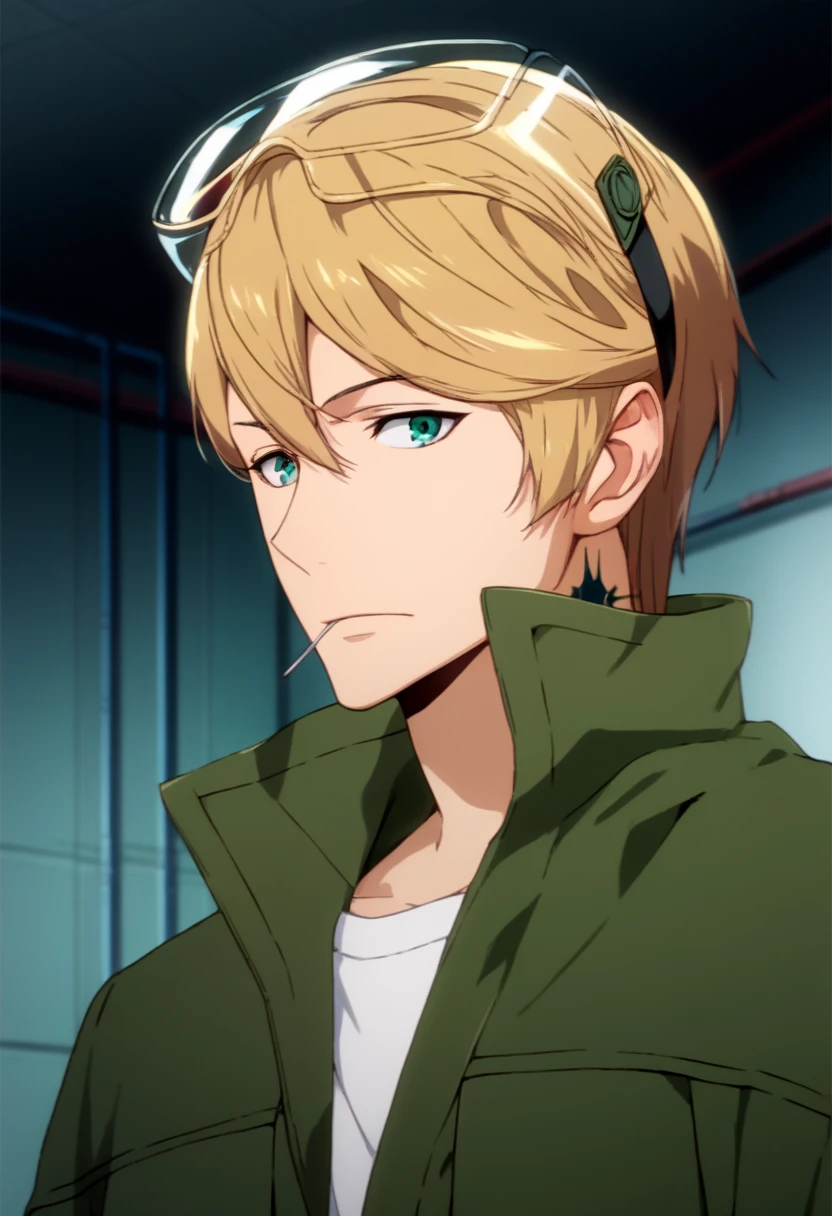 score_9, score_8_up, score_7_up, score_6_up, highly detailed, masterpiece, best quality,detailed,intricate details, amazing quality, best aesthetic, absurdres,spanner, blonde hair, green eyes, 1boy, male focus, tattoo, , green jumpsuit, eyewear on head<lora:EMS-391482-EMS:1.000000>