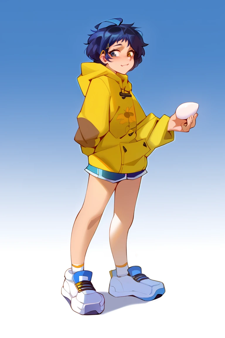 score_9, score_8_up, score_7_up, score_6_up, score_5_up, score_4_up,
BREAK
<lora:XL_C_AiOhtoWeighted-06:1>, a1ohto, yellow hoodie, shorts, 
BREAK
full body, holding egg,
BREAK
(gradient background), <lora:Lunas-Kairunoburogu-SDXL-A1:1>