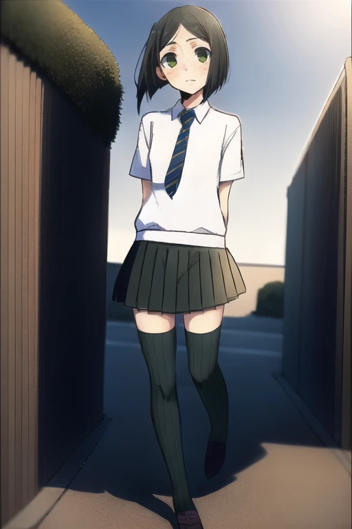 masterpiece, outdoors, day, 
front view, solo, 
1girl, standing, looking_at_viewer, 
<lora:woman_of_el-melloi_final:1>, woem, waver velvet, bangs, black hair, bob cut, genderswap, genderswap (mtf), green eyes, short hair, parted bangs, school uniform, necktie, sweater, miniskirt, skirt, pleated skirt, shoes, socks, black thighhighs, thighhighs, zettai ryouiki,