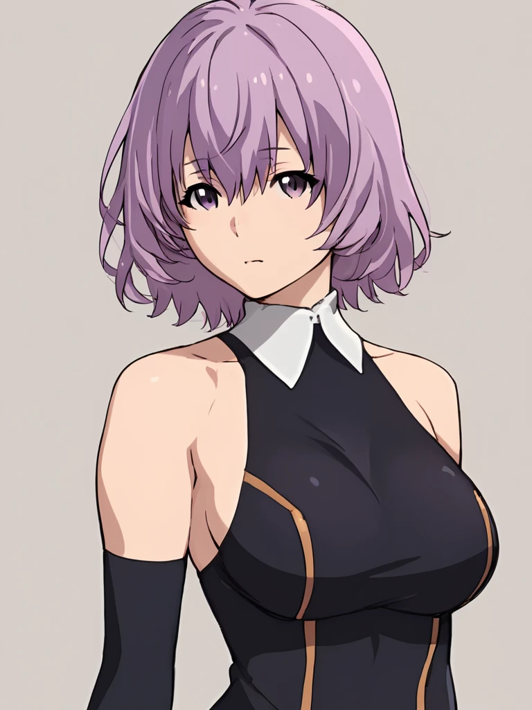 score_9, score_8_up, score_7_up, score_6_up, score_5_up, score_4_up,
simple background, plain background,
<lora:shihoru-pony-v1:1>, shihoru, purple hair, purple eyes, large breasts, white collar, black dress, arm warmers,