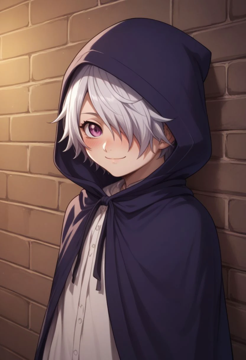 score_9, score_8_up, score_7_up, source_anime, highly detailed, 
lag, solo, hair over one eye, hood, cloak, short hair, smile, hooded cloak, looking at viewer, blush, purple eyes, brick wall, parody, 1boy, crossdressing,
outdoor, night sky,