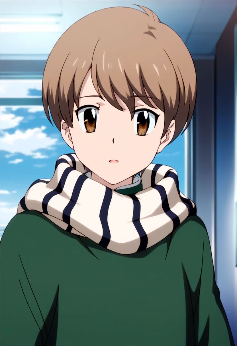 score_9, score_8_up, score_7_up, score_6_up, highly detailed, masterpiece, best quality,detailed,intricate details, amazing quality, best aesthetic, absurdres,source_anime,Futa_khr, brown hair, brown eyes, green sweater,1boy, scarf<lora:EMS-397379-EMS:1.000000>