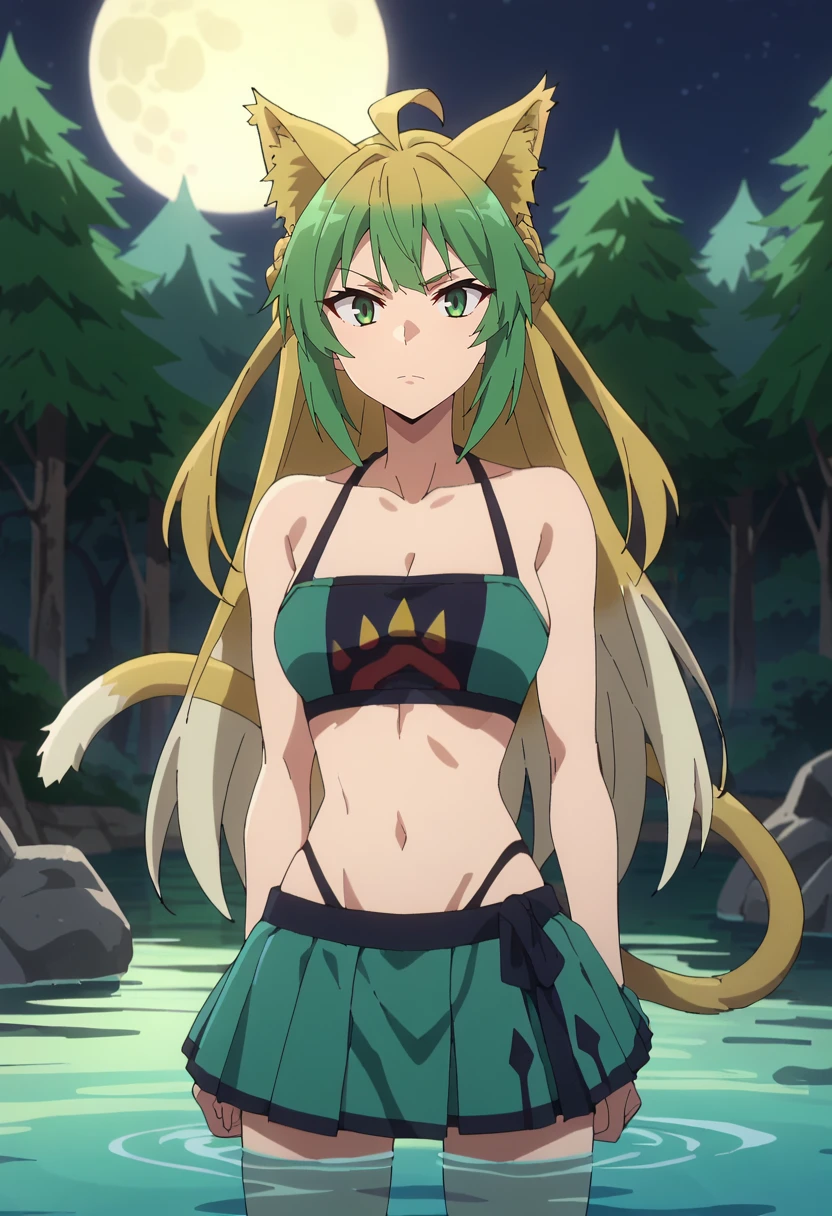 score_9, score_8_up, score_7_up, source_anime, anime screencap,
<lora:FateApocrypha_AtalantaXL:0.8>, AtalantaFA,
1girl, closed mouth,
multicolored hair, long hair, green eyes, ahoge, cat ears, cat tail,
green bikini, print bikini, skirt,
standing, looking at the viewer, partially submerged,
outdoors, forest, night sky, moon, lake