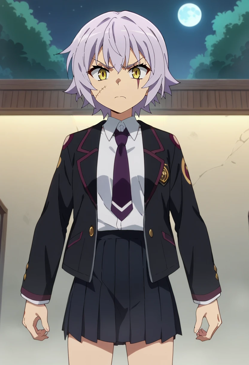 score_9, score_8_up, score_7_up, source_anime, anime screencap,
<lora:FateApocrypha_JackTheRipperXL:0.8>, JackTheRipperFA,
1girl, closed mouth, angry,
lavender hair, short hair, scar, shoulder tattoo,
school uniform, black jacket, open jacket, white shirt, purple necktie, pleated skirt, black skirt,
looking at the viewer,
outdoors, night, moon, fog