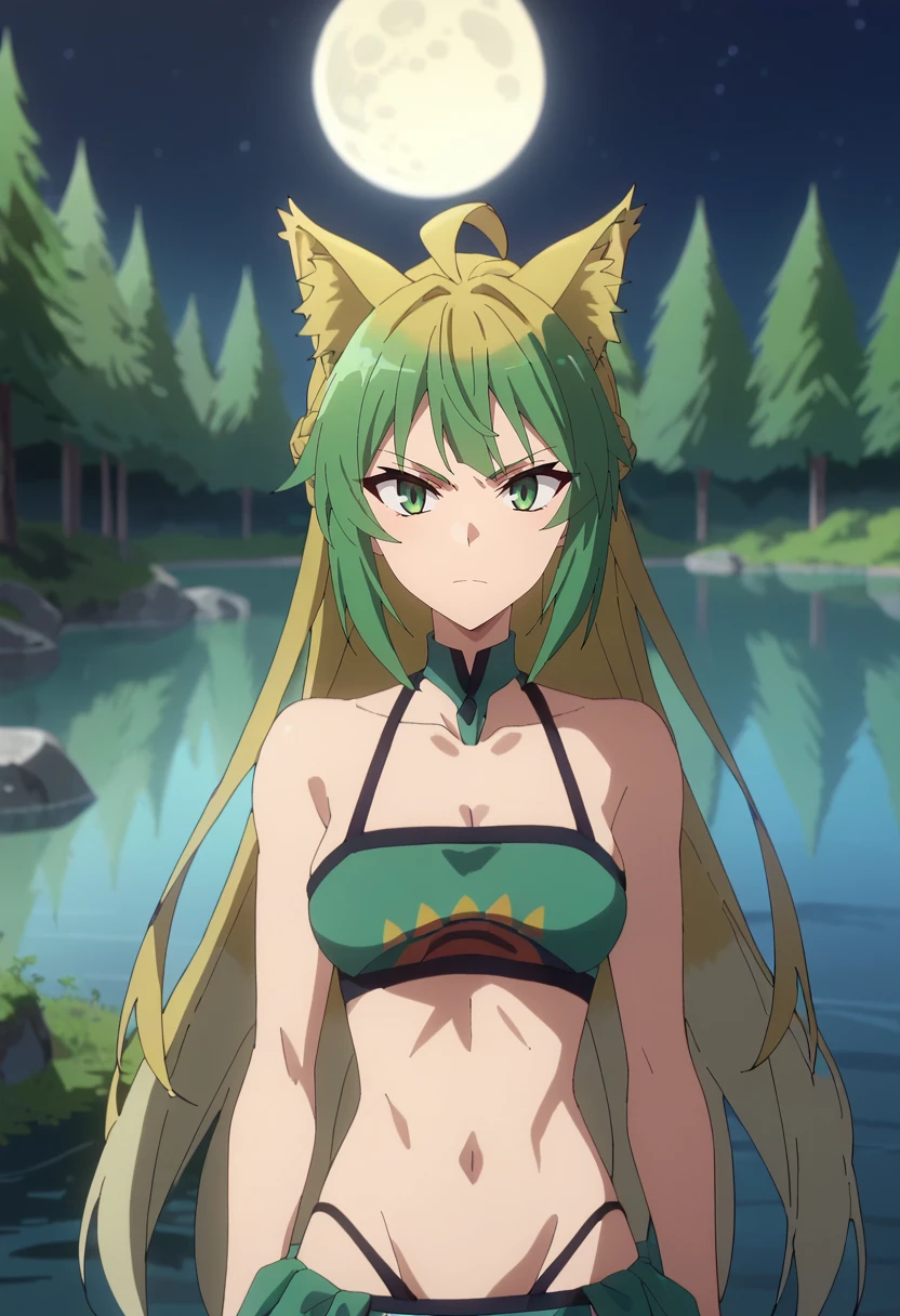 score_9, score_8_up, score_7_up, source_anime, anime screencap,
<lora:FateApocrypha_AtalantaXL:0.8>, AtalantaFA,
1girl, closed mouth,
multicolored hair, long hair, green eyes, ahoge, cat ears, cat tail,
green bikini, print bikini,
standing, looking at the viewer, upper body,
outdoors, forest, night sky, moon, lake