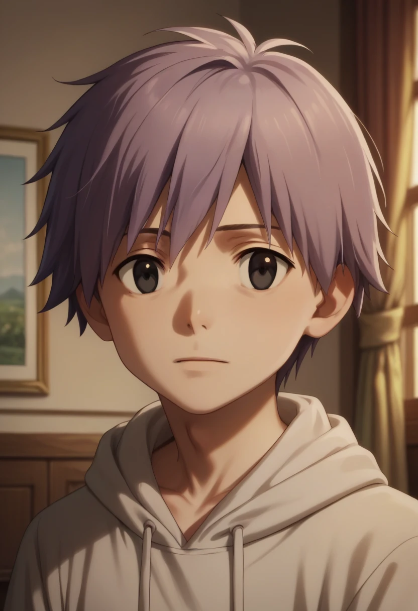 score_9, score_8_up, score_7_up, score_6_up, highly detailed, masterpiece, best quality,detailed,intricate details, amazing quality, best aesthetic, absurdres,source_anime, lui_tn, purple hair, black eyes, 1boy, male focus, solo, hoodie, hood<lora:EMS-398506-EMS:1.000000>