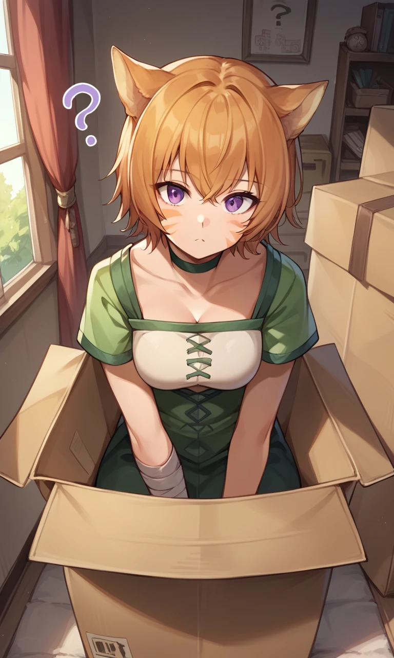 score_9, score_8_up, score_7_up, source anime, 1girl,  Lethe, solo, purple eyes, cat ears, cat tail, whisker markings, house, indoors, box, sitting inside giant cardboard box, ?, head tilt