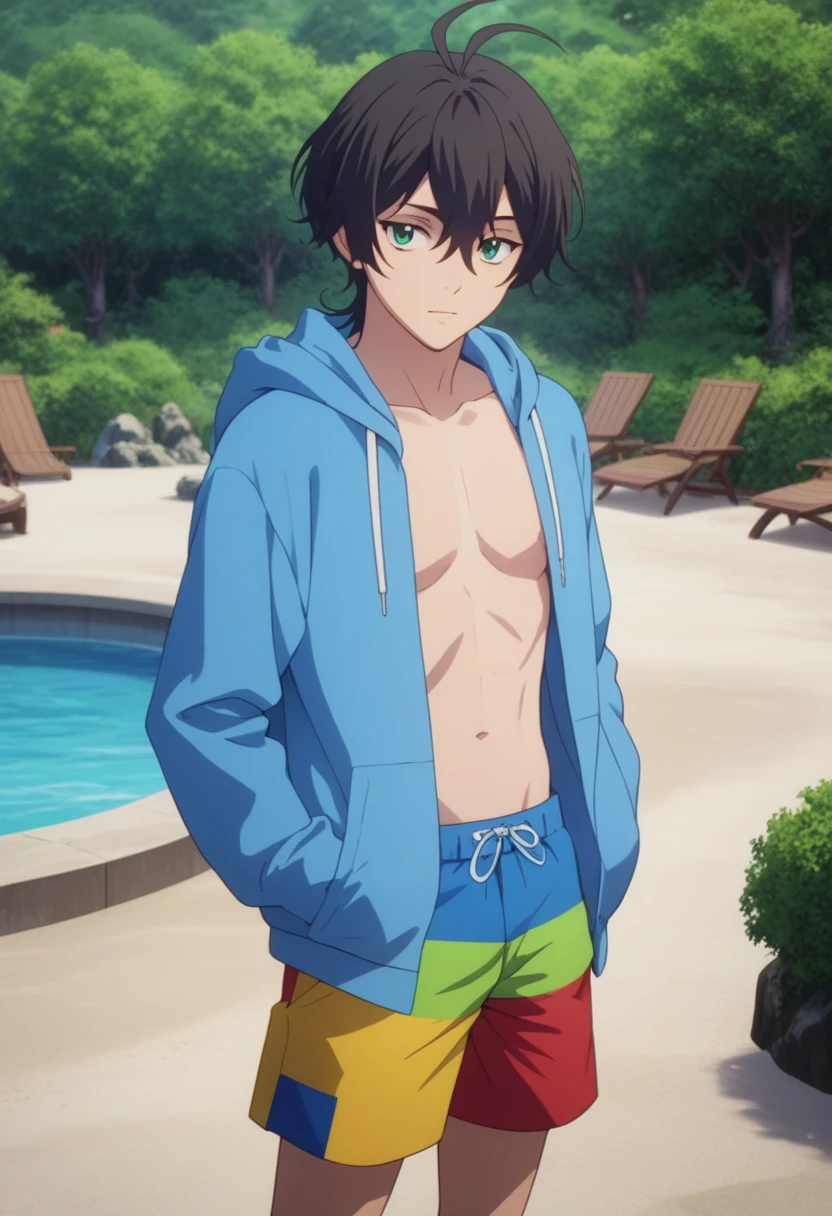 score_9, score_8_up, score_7_up, score_6_up, highly detailed, masterpiece, best quality,detailed,intricate details, amazing quality, best aesthetic, absurdres,source_anime,
male focus, 1boy, Miya Chinen, black hair, green eyes, male swimwear,
swim trunks,
open hood,
open clothes,
blue hoodie<lora:EMS-399351-EMS:1.000000>