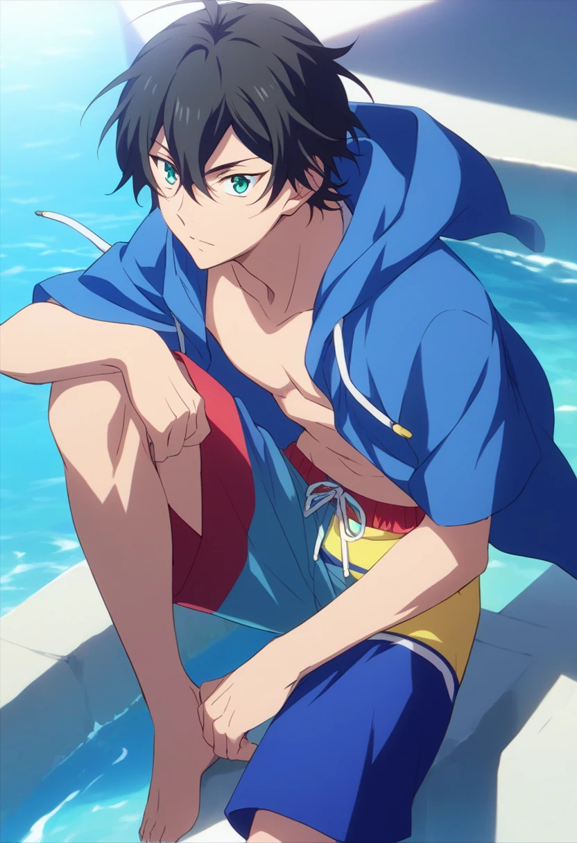 score_9, score_8_up, score_7_up, score_6_up, highly detailed, masterpiece, best quality,detailed,intricate details, amazing quality, best aesthetic, absurdres,source_anime,
male focus, 1boy, Miya Chinen, black hair, green eyes, male focus,
male swimwear, swim trunks, open hood, open clothes, blue hoodie<lora:EMS-399351-EMS:1.000000>