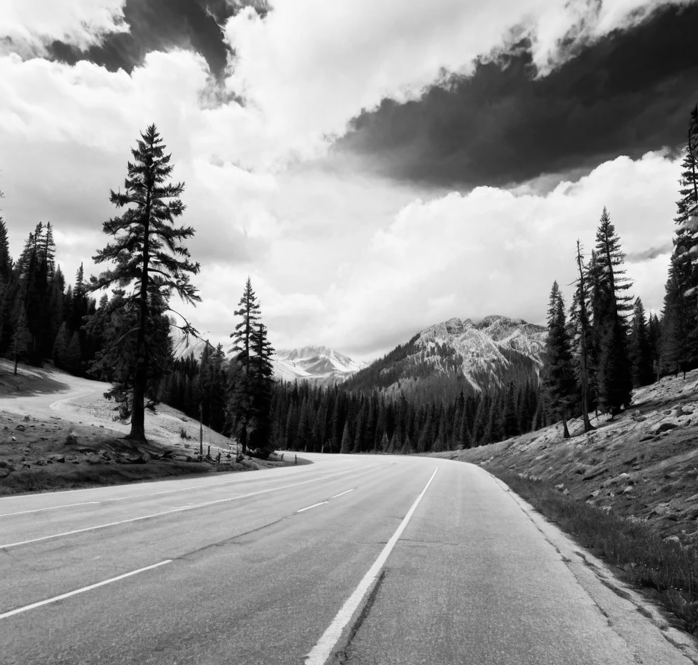 Adam Smith,no humans,mountain,scenery,outdoors,cloud,nature,sky,forest,road,landscape,tree,cloudy sky,sky,<lora:heibai-000002:0.6>,Black and white photography style,monochrome,Sense of hierarchy,