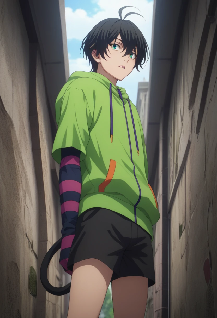 score_9, score_8_up, score_7_up, score_6_up, highly detailed, masterpiece, best quality,detailed,intricate details, amazing quality, best aesthetic, absurdres,source_anime,
male focus, 1boy, Miya Chinen, black hair, green eyes, male focus,
green hoodie,
hood down,
striped gloves,
cat tail,
black shorts<lora:EMS-399351-EMS:1.000000>