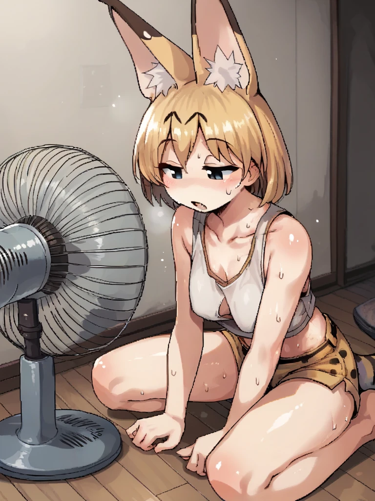 <lora:iloveserval-PonyXL-1024px:0.9>
score_5_up, score_6_up, 
1girl, solo, sitting on floor, open mouth, half-closed_eyes, wearing (crop top, short shorts), sweat, shiny skin,  eyebrows visible through hair, short hair, blonde hair, animal ear fluff, serval_print, collarbone, indoors, electric fan