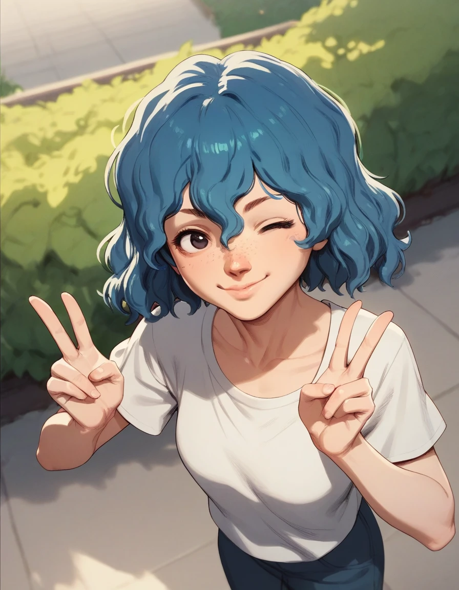 score_9, score_8_up, score_7_up,score_6_up,score_5_up,score_4_up,1girl in a park, dutch angle, freckles, wavy hair, smile, double v, one eye closed, from above, blue hair, short hair, 
 <lora:butterchalk_style_pony6_v3:.9>