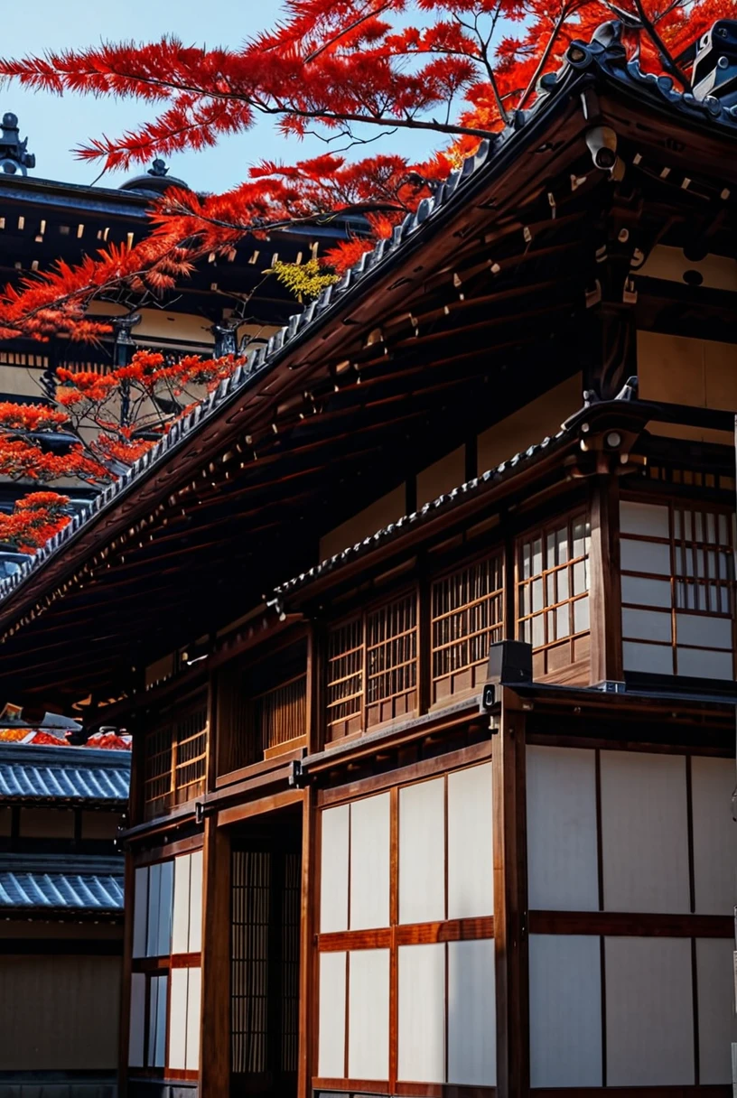 Japanese building in background, detailed walls, detailed roof, accurate japanese building, sharp image
[reflections, vibrant lighting, realistic, high quality photo, 4k, hd,  7-JapaneseArchitecture ]
   <lora:Japanese Architecture v1.0:0.6>