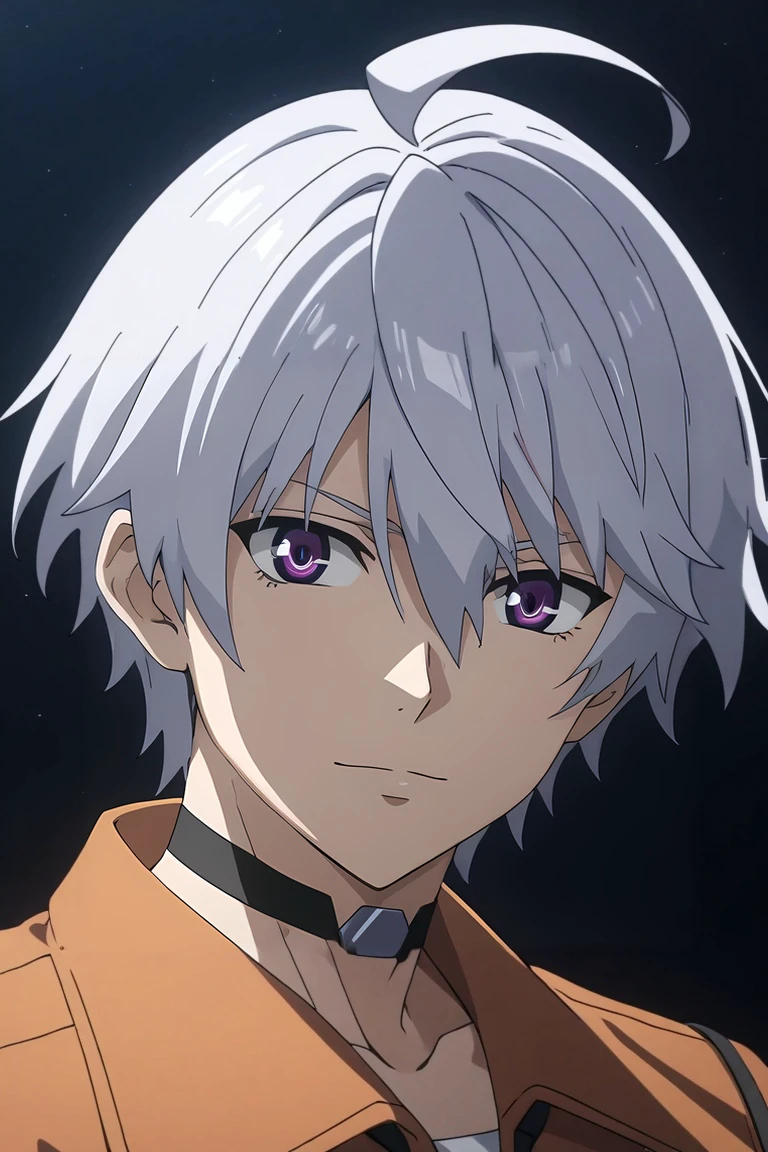 score_9, score_8_up, score_7_up, source_anime, rating_safe, intricate details, (3d:0.4), , , 1boy, solo, male focus, <lora:liu_mi_pony:0.94>, liu_mi, grey hair, purple eyes, short hair, hair between eyes, ahoge, choker, from side, fuji mountain, midnight, villain pose, seductive smile, , <lora:sdxl_lightning_8step_lora:1>