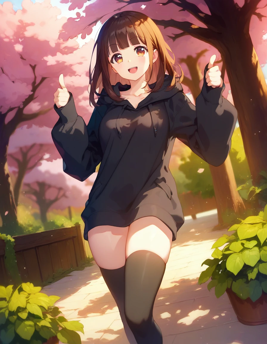 score_9,score_8_up,score_7_up,score_6_up BREAK official art,solo,outdoors,smile,cowboy shot,looking at viewer,facing viewer,Nanase Kurumi,medium hair,brown hair,sidelocks,blunt bangs,brown eyes,collarbone,hood down,black hoodie,sleeves past wrists,medium breasts,thumbs up,no pants,black thighhighs,loafers,<lora:Nanase Kurumi(menhera-chan)-Pony:1.8>,<lora:Smooth Anime Style LoRA XL:0.8>,