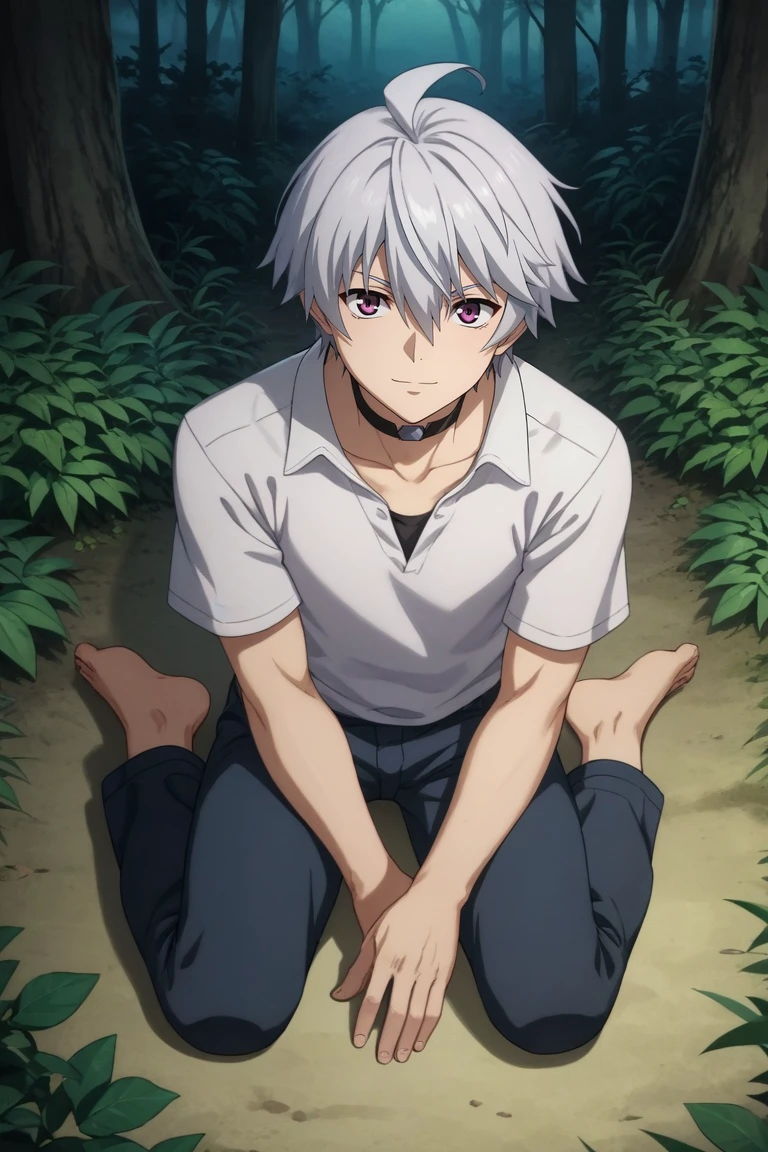 score_9, score_8_up, score_7_up, source_anime, rating_safe, , semi-realistic, , , 1boy, solo, male focus, <lora:liu_mi_pony:0.92>, liu_mi, grey hair, purple eyes, short hair, hair between eyes, ahoge, choker, from above, full body, forest, dusk, sitting, seductive smile, , <lora:sdxl_lightning_8step_lora:1>