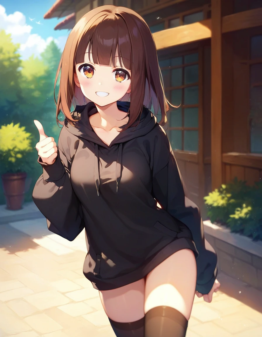 score_9,score_8_up,score_7_up,score_6_up BREAK official art,solo,outdoors,smile,cowboy shot,looking at viewer,facing viewer,Nanase Kurumi,medium hair,brown hair,sidelocks,blunt bangs,brown eyes,collarbone,hood down,black hoodie,sleeves past wrists,medium breasts,thumbs up,no pants,black thighhighs,loafers,<lora:Nanase Kurumi(menhera-chan)-Pony:1.4>,<lora:Smooth Anime Style LoRA XL:0.8>,