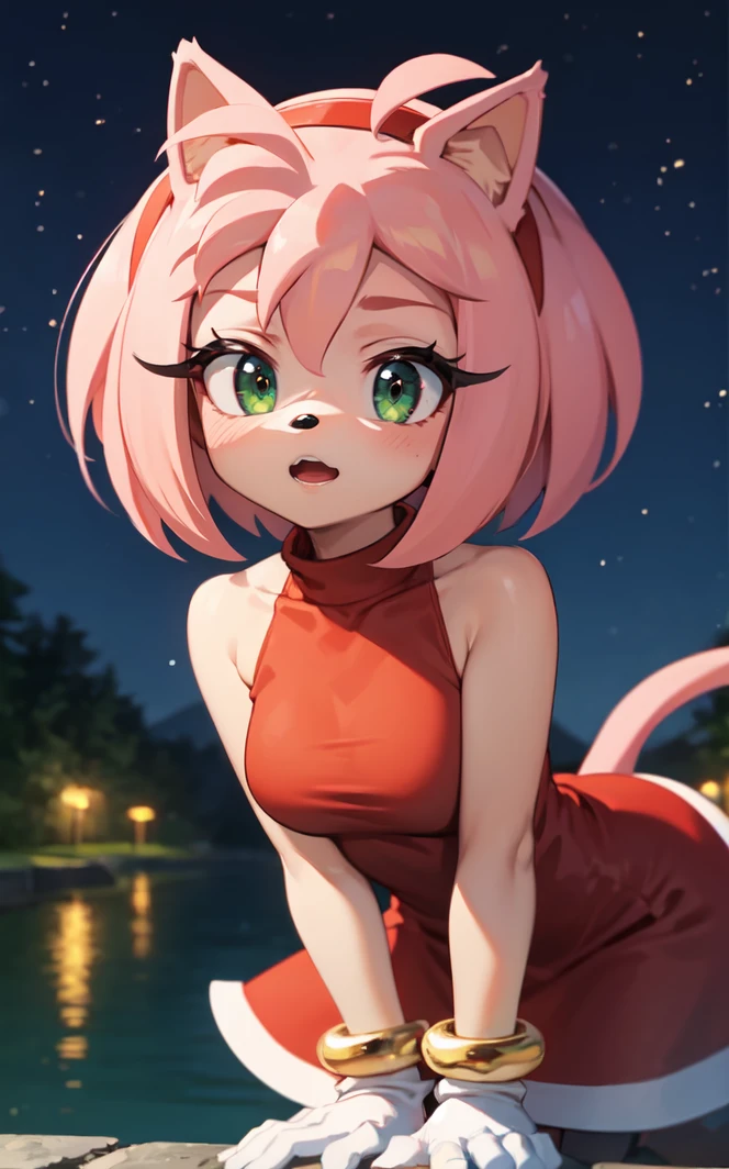 Amy Rose | Sonic The Hedgehog | 2 Attires v1.0