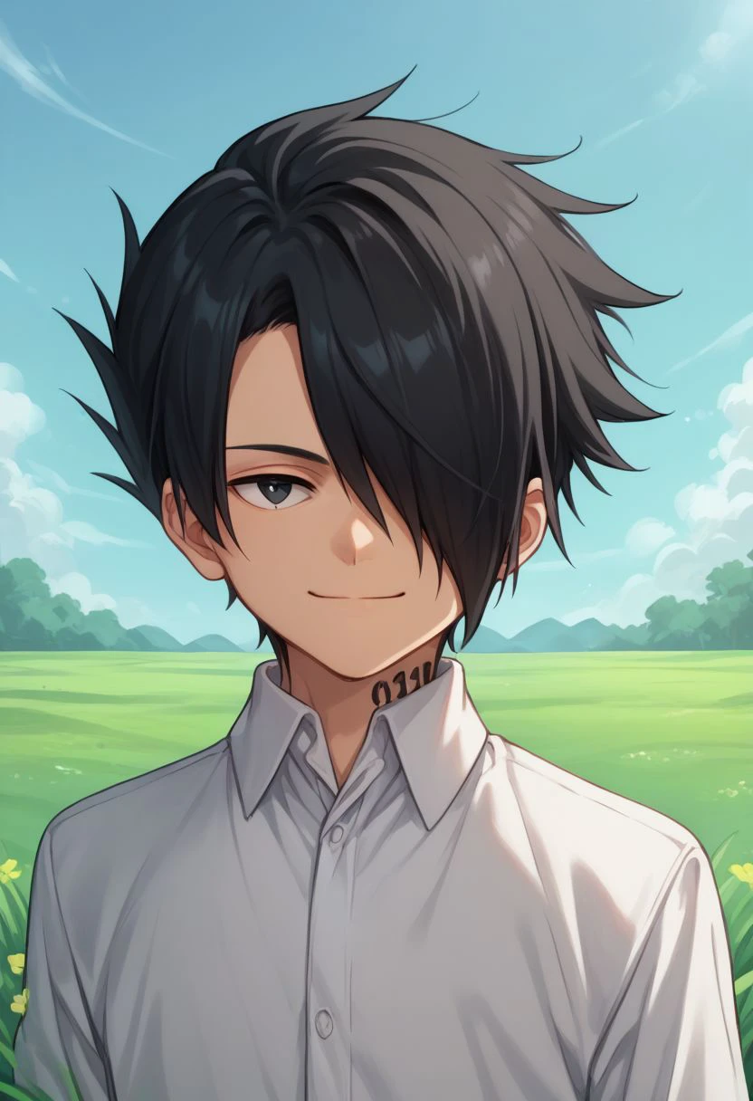 score_9, score_8_up, score_7_up, source_anime, highly detailed, 
ray, 1boy, black hair, hair over one eye, male focus, shirt, white shirt, black eyes, looking at viewer, collared shirt, upper body, closed mouth, number tattoo, smile,
outdoor, grass, sky,