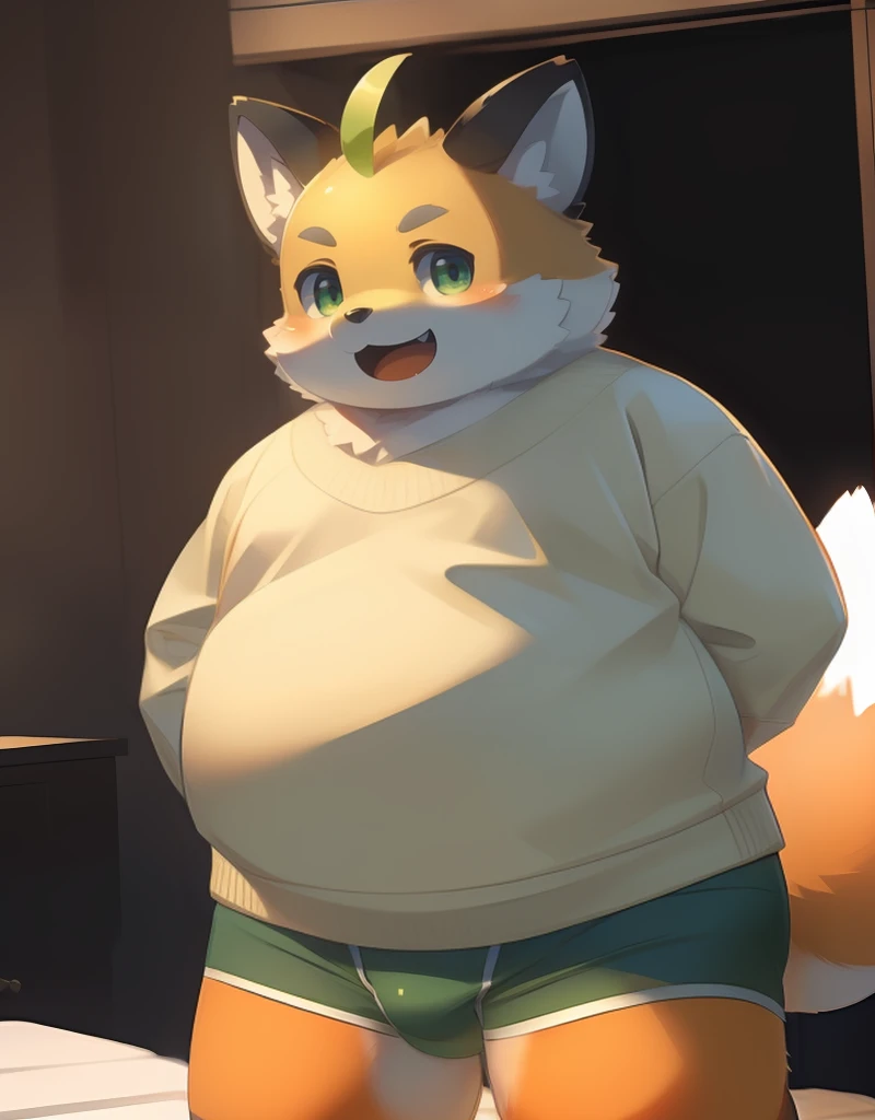 (((detailed eyes, detailed face))), (furry, iyo <lora:character_iyo_findigo_v2:1>, two-tone fur, ahoge, fox boy, snout, green eyes), male, (solo), (plump, fat, chubby, overweight), (khaki sweater, green boxer briefs), standing, (arms behind back), smile, (front view) BREAK (konzaburou, ukan_muri), bedroom, (flat shading, flat color, high brightness), 8k, UHD, masterpiece, (full body)