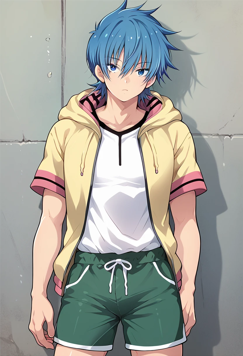 score_9, score_8_up, score_7_up, score_6_up, detailed, cowboy shot,best quality ,source_anime, male focus,
azuma, blue eyes, blue hair, solo, , hoodie, white shirt, green shorts,score_5_up<lora:EMS-405387-EMS:1.000000>