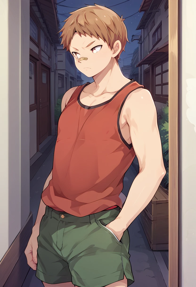 score_9, score_8_up, score_7_up, score_6_up, detailed, cowboy shot,best quality ,source_anime, male focus,
kugayama, brown hair, brown eyes, 1boy,bandaid on face, sneakers, bandaid on nose, red tank top,green shorts,score_5_up<lora:EMS-405391-EMS:1.000000>