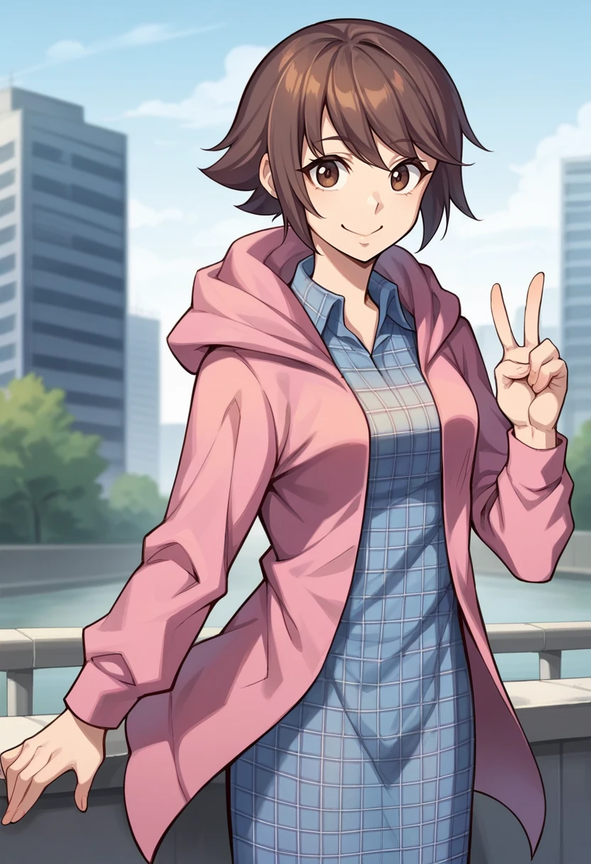 score_9, score_8_up, score_7_up, source_anime BREAK 1girl, solo,
<lora:zs_Dx2MCv2XL:1> maindx2, brown hair, short hair, blue dress, plaid dress, pink hoodie
cowboy shot, smile, closed mouth, city, v