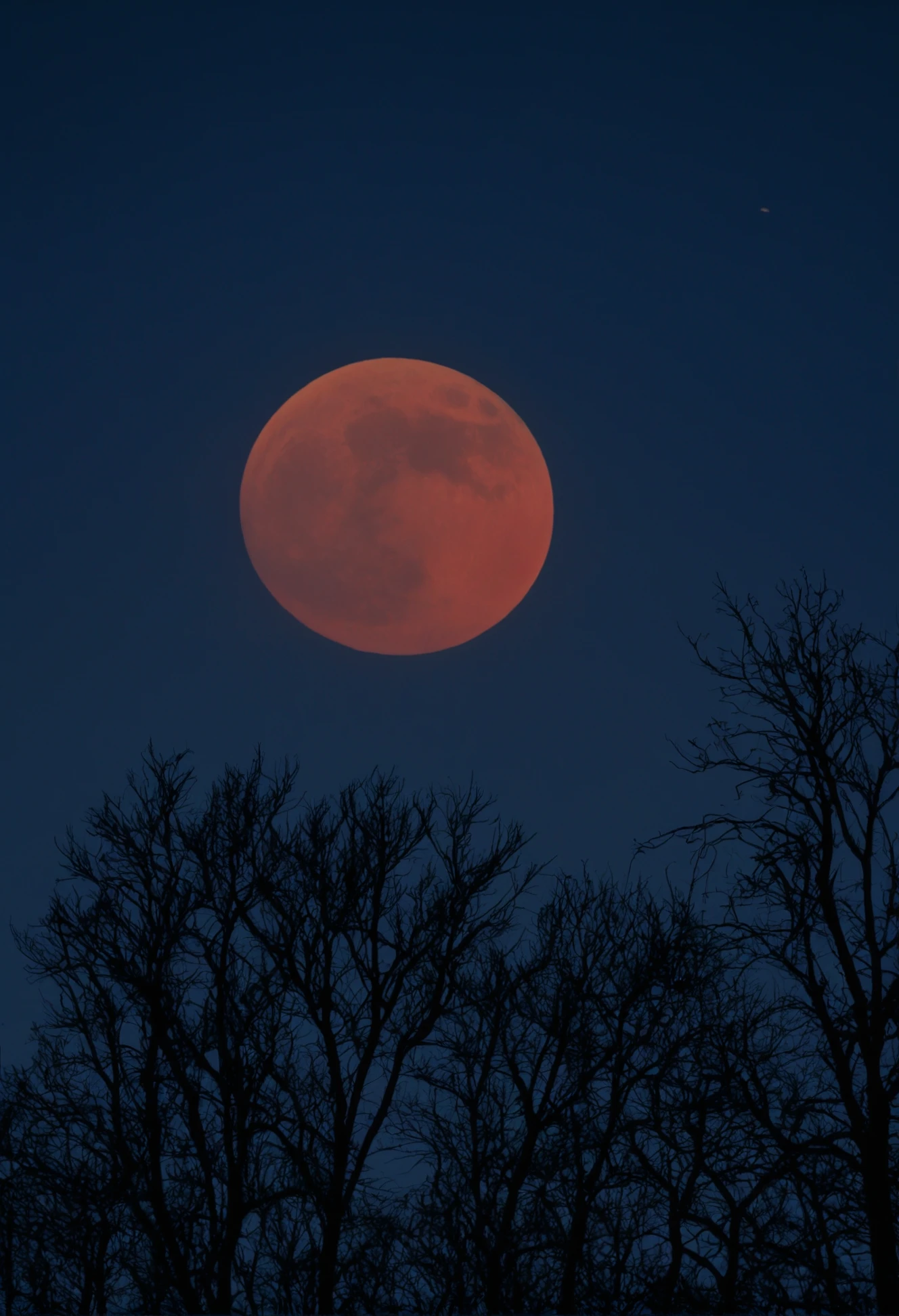 The sun has long since set. Bright stars lit up here and there in the sky; The red, fire-like glow of the rising full moon spread across the edge of the sky, and a huge red ball swayed amazingly in the grayish haze. It was getting light. The evening was already over, but the night had not yet begun.