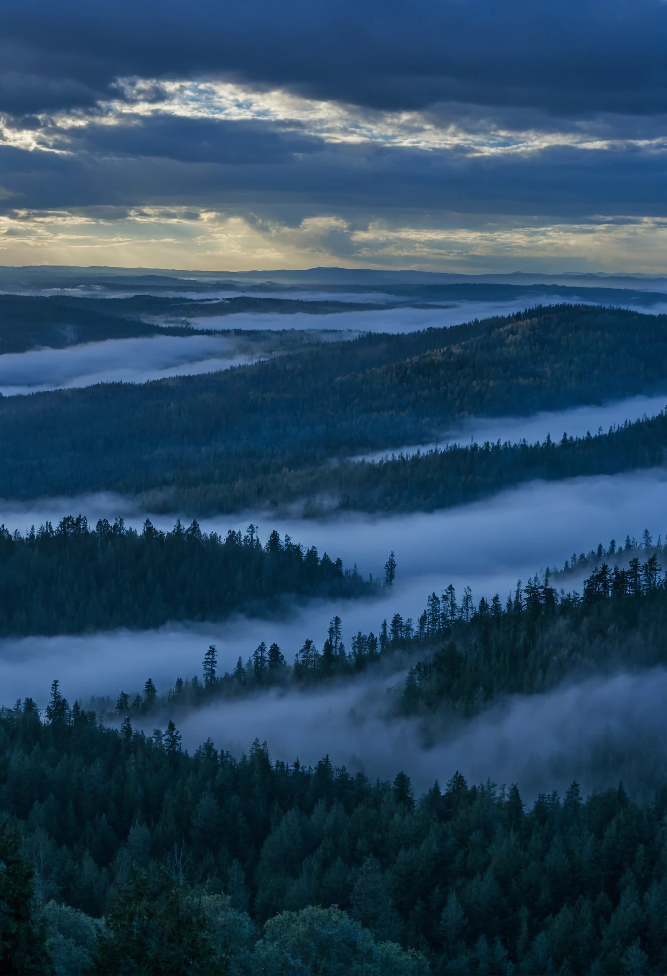 The clouds, clustered in clumps, float to the south, carrying with them silvery stripes of warm rain. They fall somewhere behind the forest, where everything is blue and dim.