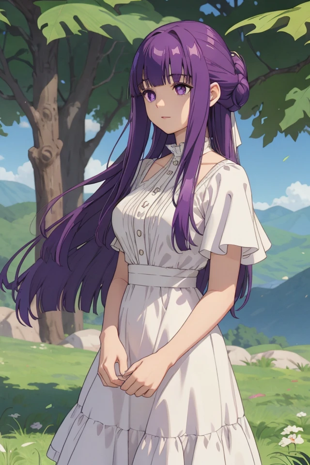 (FBJE_Fern), 1girl, solo, purple eyes, purple hair, long hair, bangs, blunt bangs, elegant, half updo, white ruffled dress, grassland, (Cowboy shot:0.7),