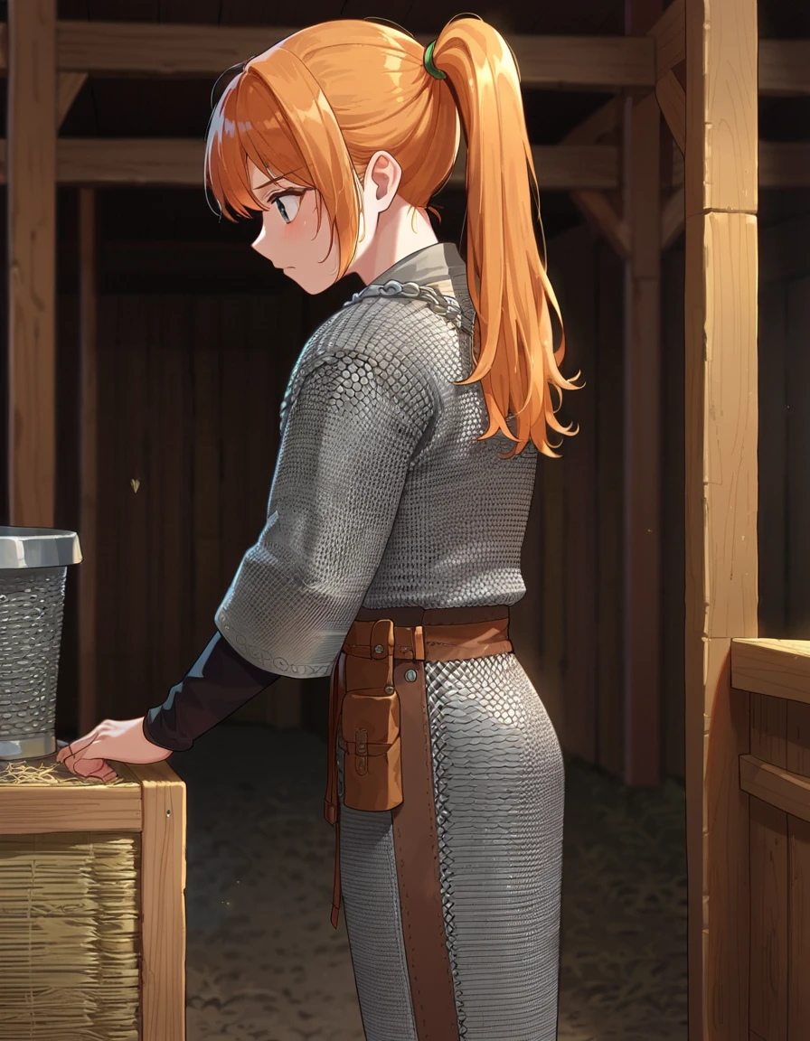 score,9,score_8_up,score_7_up,source_anime,1girl,solo,from side,looking away,suozijia,pants,long sleeves,orange hair,grey clothes,chainmail,ponytail,indoors,in barn, <lora:suozijiaponymail:0.9>