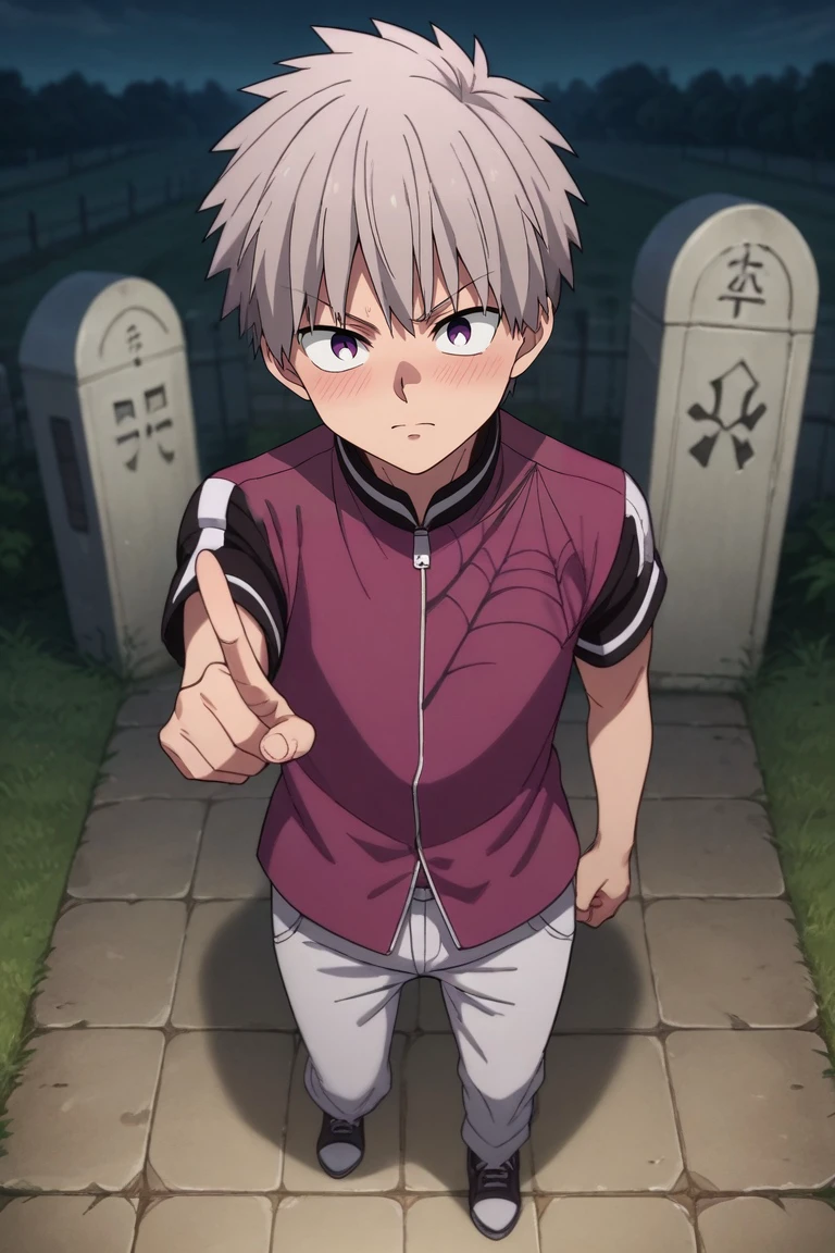 score_9, score_8_up, score_7_up, source_anime, rating_safe, intricate details, , looking at viewer, depth of field, 1boy, solo, male focus, <lora:shiki_tademaru_pony:0.88>, shiki_tademaru, grey hair, purple eyes, short hair, straight-on, full body, cemetery, light, pointing, embarrassed, nose blush, ,, <lora:sdxl_lightning_8step_lora:1>