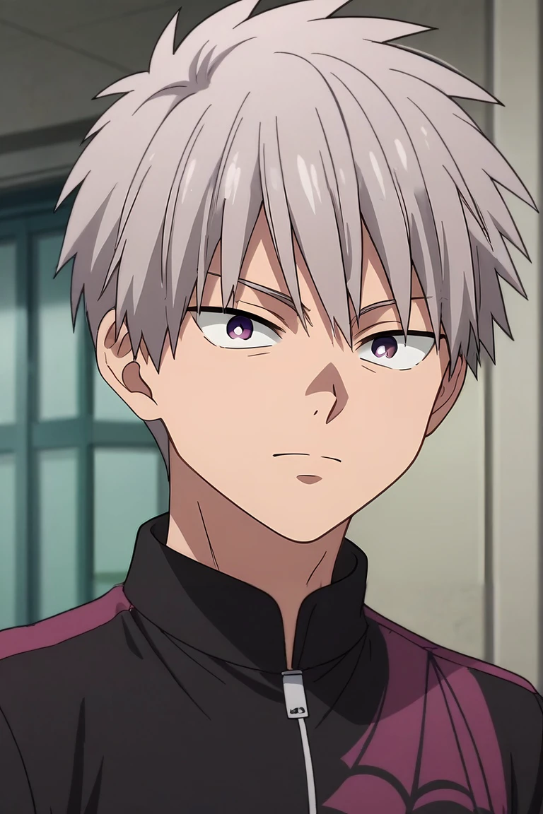 score_9, score_8_up, score_7_up, source_anime, rating_safe, intricate details, anime screencap, , official style, , , 1boy, solo, male focus, <lora:shiki_tademaru_pony:0.76>, shiki_tademaru, grey hair, purple eyes, short hair, , , <lora:sdxl_lightning_8step_lora:1>