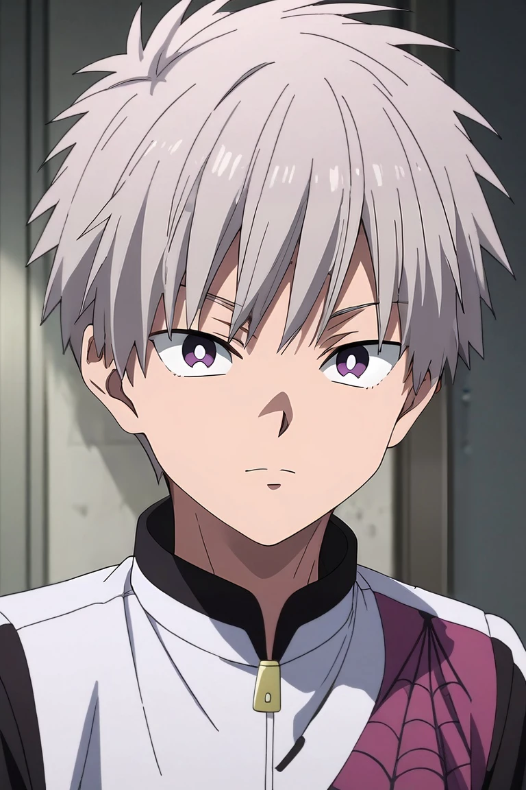 score_9, score_8_up, score_7_up, source_anime, rating_safe, intricate details, , looking at viewer, , 1boy, solo, male focus, <lora:shiki_tademaru_pony:0.94>, shiki_tademaru, grey hair, purple eyes, short hair, , gangster costume, <lora:sdxl_lightning_8step_lora:1>