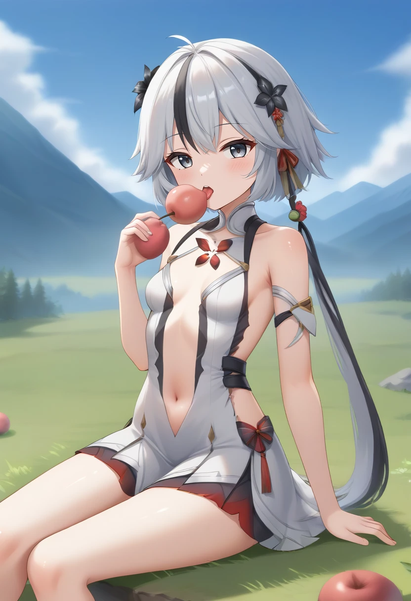 1girl, solo, small breasts, black hair, hair ornament, dress, navel, single pantsleg, white hair, multicolored hair, hair flower, grey eyes, sitting, seiza, grass, outdoors, mountainous horizon, clouds, holding fruit, peach \(fruit\), licking peach, looking at viewer, blush <lora:SDXL_Hyper:1>  <lora:Timm_Style_XL:1> <lora:StaC_un:1>